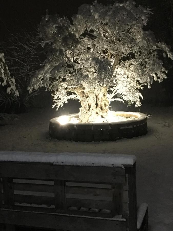 Il Leccio Bed and Breakfast San Lazzaro di Savena Buitenkant foto