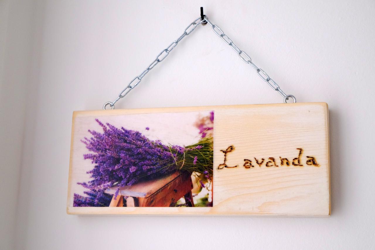 Il Leccio Bed and Breakfast San Lazzaro di Savena Buitenkant foto