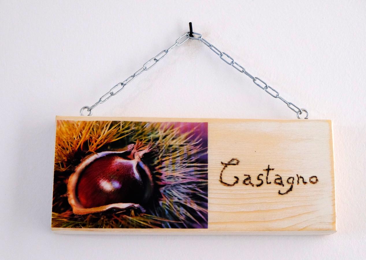 Il Leccio Bed and Breakfast San Lazzaro di Savena Buitenkant foto